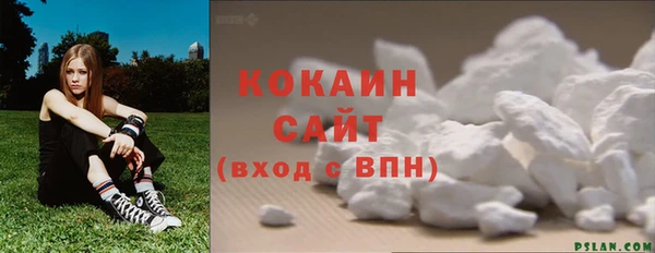 прущие грибы Билибино