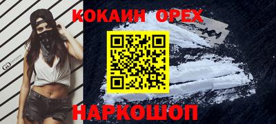 шишки Кингисепп