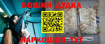 шишки Кингисепп