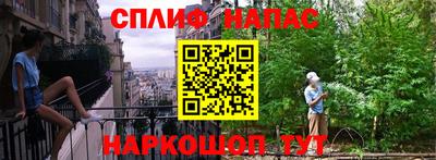 шишки Кингисепп