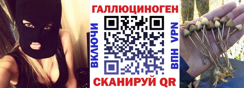 Псилоцибиновые грибы GOLDEN TEACHER  где купить наркоту  площадка официальный сайт  Усть-Джегута 