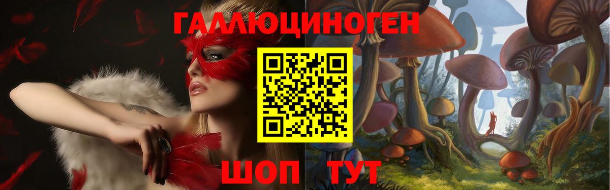 Галлюциногенные грибы ЛСД  где купить наркоту  Усть-Джегута  Вход с VPN 